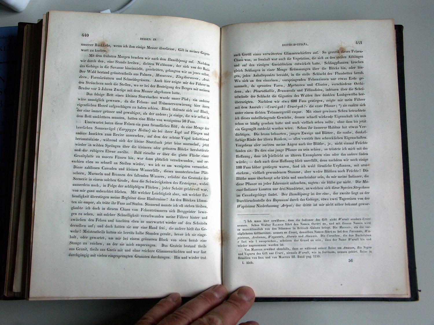 ZZ-RISC47,S.440 Kletterkunst der Macushi und Urari=Curare und Rupicola